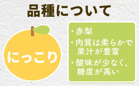 【2026年先行予約】とっくんちの梨 にっこり 約3kg 鈴木農園《9月下旬-10月中旬頃出荷》茨城県 結城市 数量限定 果物 フルーツ 甘み ジューシー 豊か 芳香 しゃりっ 爽やかな 季節【配送不可地域あり】(離島)