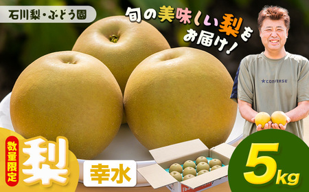 【先行予約・数量限定】幸水 梨 5kg 石川梨・ぶどう園 果物 フルーツ 贈り物 お取り寄せ フルーツ 【配送不可地域あり】(離島)