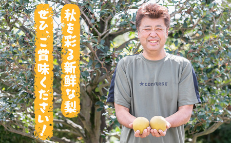 【先行予約・数量限定】幸水 梨 5kg 石川梨・ぶどう園 果物 フルーツ 贈り物 お取り寄せ フルーツ 【配送不可地域あり】(離島)