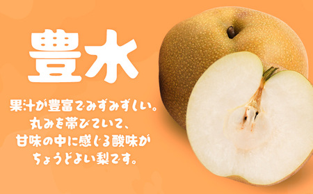 【先行予約・数量限定】豊水 梨 5kg 石川梨・ぶどう園 果物 フルーツ 贈り物 お取り寄せ フルーツ 【配送不可地域あり】（離島）