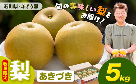 【先行予約・数量限定】あきづき 梨 5kg 石川梨・ぶどう園 果物 フルーツ 贈り物 お取り寄せ フルーツ 【配送不可地域あり】（離島）