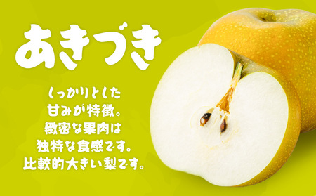 先行予約・数量限定】あきづき 梨 5kg 石川梨・ぶどう園 果物 フルーツ