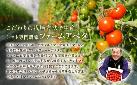 中玉フルーツトマトゼッピン娘1.8kg ×2箱 《10月中旬～5月末頃出荷》茨城県結城市トマト野菜