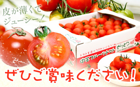 中玉フルーツトマトゼッピン娘1.8kg ×2箱 《10月中旬～5月末頃出荷》茨城県結城市トマト野菜