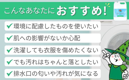【3ヵ月毎定期便】液体洗剤 緑の魔女ランドリー5L×3セット 全4回 |洗濯洗剤 洗濯