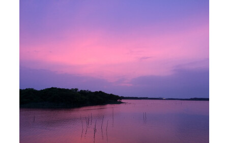 5枚セット【鶴舞家】「龍ケ崎市」で食べるうなぎ料理「うなぎ街道お食事券」| うなぎ ウナギ 鰻