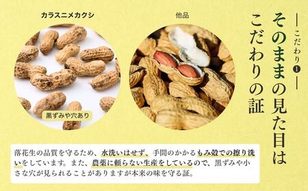 龍ケ崎産殻付き落花生 ナカテユタカ900g(180g×5袋) | 落花生 ピーナッツ 落花生 ピーナッツ 落花生 ピーナッツ 落花生 ピーナッツ