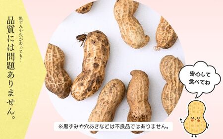 龍ケ崎産殻付き落花生 ナカテユタカ900g(180g×5袋) | 落花生 ピーナッツ 落花生 ピーナッツ 落花生 ピーナッツ 落花生 ピーナッツ