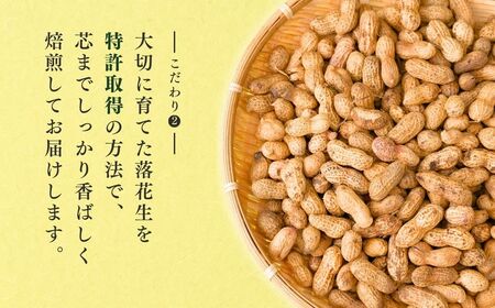 龍ケ崎産殻付き落花生 ナカテユタカ900g(180g×5袋) | 落花生 ピーナッツ 落花生 ピーナッツ 落花生 ピーナッツ 落花生 ピーナッツ