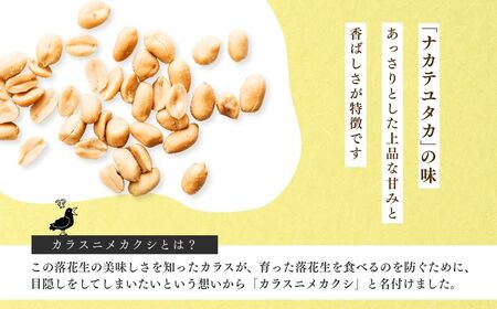 龍ケ崎産殻付き落花生 ナカテユタカ900g(180g×5袋) | 落花生 ピーナッツ 落花生 ピーナッツ 落花生 ピーナッツ 落花生 ピーナッツ