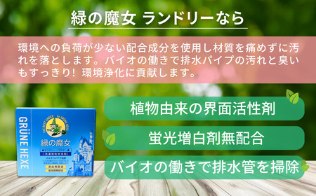 粉末洗剤 環境配慮型 緑の魔女ランドリーパウダー1kg×12個セット | 洗濯洗剤　洗濯洗剤　洗濯洗剤　洗濯洗剤　洗濯洗剤 