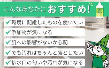 食器用洗剤  緑の魔女 キッチン 420ml ×24本 | 台所洗剤 食器 キッチン