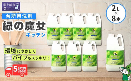 食器用洗剤 緑の魔女 キッチン 2l ×8本 | 台所洗剤 食器 キッチン