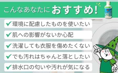 環境配慮型洗剤　緑の魔女ランドリーセット ML-35 (デパート専用品)【沖縄・離島配送可能】【洗濯 洗濯用洗剤 粉末合成洗剤 洗濯 泥汚れ しつこい汚れ 洗濯 洗浄力 洗濯 ランドリー 洗濯機 洗濯 日用品 全自動洗濯機 洗濯 贈答品 ギフト プレゼント 洗剤】