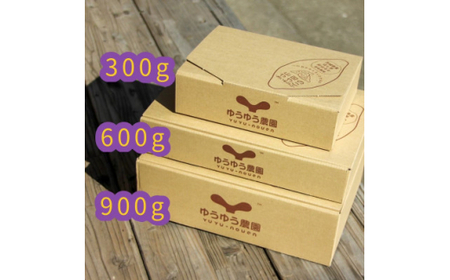 干し芋 紅はるか 300g | 干し芋 干し芋 干し芋 干し芋 干し芋