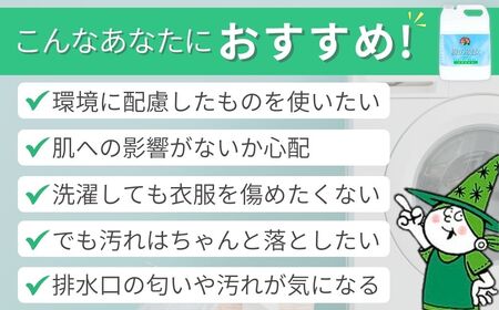 迷ったらこれ 洗濯洗剤+パイプクリーナー機能持つ緑の魔女ランドリー5L×3 ふるさと納税限定品 | 茨城県 龍ケ崎市 洗剤 液体 液体洗剤 環境配慮 エコ やさしい 洗濯 洗濯洗剤 衣類 汚れ よごれ 油汚れ 皮脂 皮脂汚れ 大容量 パイプ パイプクリーナー 植物由来 除菌 防臭 エコ お中元 お歳暮 ギフト 大掃除 洗浄力 1211183