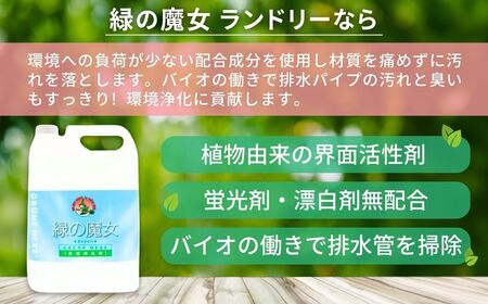 迷ったらこれ 洗濯洗剤+パイプクリーナー機能持つ緑の魔女ランドリー5L×3 ふるさと納税限定品 | 茨城県 龍ケ崎市 洗剤 液体 液体洗剤 環境配慮 エコ やさしい 洗濯 洗濯洗剤 衣類 汚れ よごれ 油汚れ 皮脂 皮脂汚れ 大容量 パイプ パイプクリーナー 植物由来 除菌 防臭 エコ お中元 お歳暮 ギフト 大掃除 洗浄力 1211183