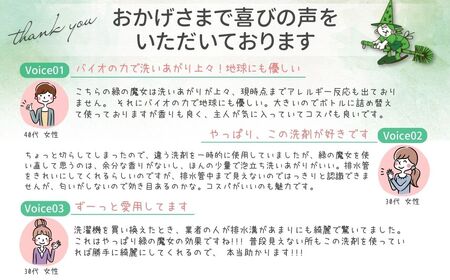 迷ったらこれ 洗濯洗剤+パイプクリーナー機能持つ緑の魔女ランドリー5L×3 ふるさと納税限定品 | 茨城県 龍ケ崎市 洗剤 液体 液体洗剤 環境配慮 エコ やさしい 洗濯 洗濯洗剤 衣類 汚れ よごれ 油汚れ 皮脂 皮脂汚れ 大容量 パイプ パイプクリーナー 植物由来 除菌 防臭 エコ お中元 お歳暮 ギフト 大掃除 洗浄力 1211183