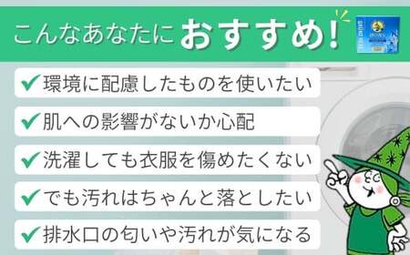 緑の魔女ランドリーパウダー1kg×5個セット | 粉末洗剤 粉末洗剤 粉末洗剤 粉末洗剤 粉末洗剤