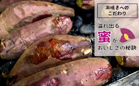 ねっとり甘い 紅はるかの冷凍石焼き芋3kg 【 冷凍焼き芋 やきいも 焼き芋 焼いも スイーツ ダイエット 小分け ギフト プレゼント 国産 無添加 茨城県産 さつまいも サツマイモ お芋 いも おやつ 干し芋 石焼き芋 紅はるか シルクスイート 紅はるか ねっとり 甘い 完熟 熟成 冷凍 冷やし焼き芋】