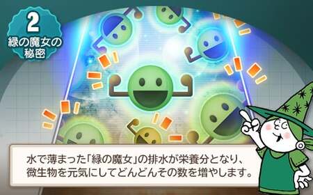 洗剤　緑の魔女バス 5L | 洗剤 バス