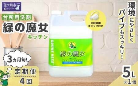 ＜3ヵ月毎定期便(全4回)＞食器用洗剤 緑の魔女キッチン5L×1本 | 台所洗剤 食器 キッチン
