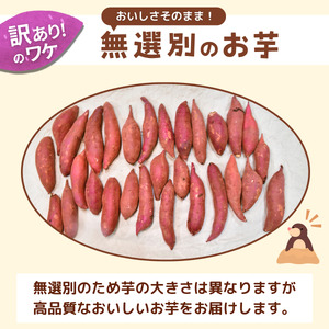 【訳あり】無選別のさつまいも(紅はるか)10kg | 茨城県 龍ケ崎 サツマイモ 国産 おすすめ 人気 根野菜 べにはるか 紅はるか ホクホク 天ぷら 大学芋 お菓子作り 煮物 焼き芋 特産品 農家 産地直送 旬 訳あり 無選別 いも 芋