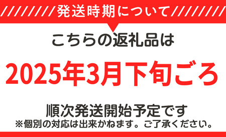 筑波サーキット 会員走行チケット 4輪 3枚セット【 2025年4月
