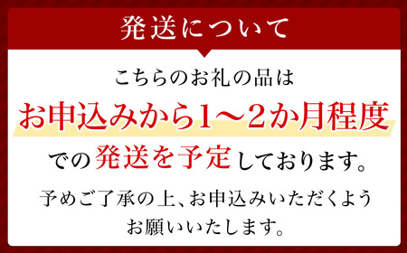 ふるなび限定】アドバンス ナイト リペア SMR コンプレックス 50mL +