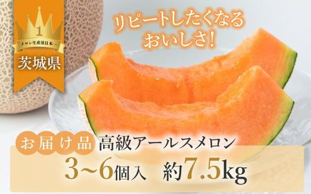 茨城県産アールスメロン「赤」約7.5kg（3～6個）【2025年9月上旬～10月上旬ごろ発送予定】【 メロン 茨城県産 メロン 下妻 メロン 果物 ﾒﾛﾝ フルーツ 贈り物 プレゼント 高級メロン メロンの王様 ﾏｽｸﾒﾛﾝ ﾑｽｸ ﾏｽｸ 】