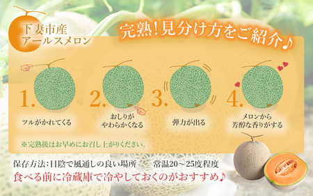 茨城県産アールスメロン「赤」約7.5kg（3～6個）【2025年9月上旬～10月上旬ごろ発送予定】【 メロン 茨城県産 メロン 下妻 メロン 果物 ﾒﾛﾝ フルーツ 贈り物 プレゼント 高級メロン メロンの王様 ﾏｽｸﾒﾛﾝ ﾑｽｸ ﾏｽｸ 】