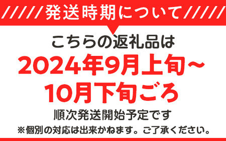 茨城県産アールスメロン「赤」約2.5kg（2個）【2024年9月上旬～10月下旬ごろ発送予定】【 メロン茨城県産 メロン人気 メロン下妻 メロン果物 メロンフルーツ 人気メロン おすすめメロン 贈り物 プレゼント 高級メロン メロンの王様 マスクメロン ムスク マスク 】