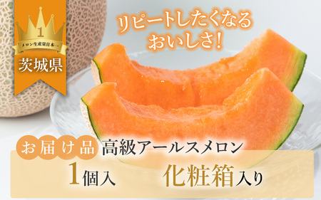 茨城県産アールスメロン「赤」【秀品】1個【2025年9月上旬～10月上旬ごろ発送予定】【 メロン 茨城県産 メロン 下妻 メロン 果物 メロン フルーツ 贈り物 プレゼント 高級メロン メロンの王様 ﾏｽｸﾒﾛﾝ ﾑｽｸ ﾏｽｸ 】