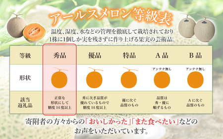 茨城県産アールスメロン「赤」【秀品】1個【2025年9月上旬～10月上旬ごろ発送予定】【 メロン 茨城県産 メロン 下妻 メロン 果物 メロン フルーツ 贈り物 プレゼント 高級メロン メロンの王様 ﾏｽｸﾒﾛﾝ ﾑｽｸ ﾏｽｸ 】