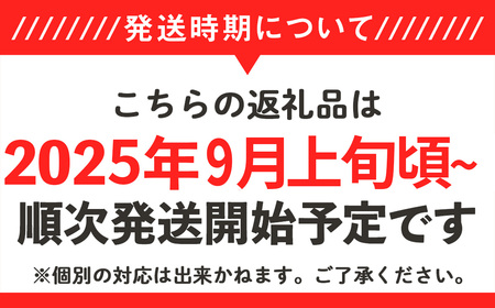 【2025年 先行予約】シャイン マスカット & 梨 人気 フルーツ 食べ比べ セット【2025年 9月上旬ころ～9月中旬ころ発送予定】シャインマスカット 1房 700g以上 梨 2玉 豊水 or あきづき 茨城県 下妻市産