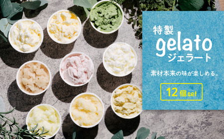特製ジェラート 12個入り【 アイス ジェラート アイス デザート 夏 アイス ご当地 おまかせ 人気アイス 秋 バニラ 和梨 いちごミルク アイス 焼き芋 さしま茶 メロン 梅 紫煌 酒 栗 詰め合わせ カップ 子供 セット 冬 フレーバー 季節 冷凍 スイーツ アイス 】