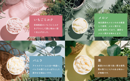 特製ジェラート 12個入り【 アイス ジェラート アイス デザート 夏 アイス ご当地 おまかせ 人気アイス 秋 バニラ 和梨 いちごミルク アイス 焼き芋 さしま茶 メロン 梅 紫煌 酒 栗 詰め合わせ カップ 子供 セット 冬 フレーバー 季節 冷凍 スイーツ アイス 】