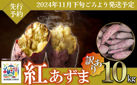 【先行予約】【訳あり】茨城県産さつまいも 「紅あずま」 10kg【2024年11月下旬ごろ順次発送】【さつまいも 紅あずま 甘い ほくほく サツマイモ 焼き芋 芋 大容量 茨城県産 焼き芋 スイートポテト レシピ】