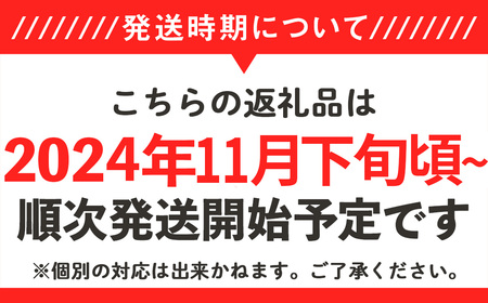 【先行予約】【訳あり】茨城県産さつまいも 「紅あずま」 10kg【2024年11月下旬ごろ順次発送】【さつまいも 紅あずま 甘い ほくほく サツマイモ 焼き芋 芋 大容量 茨城県産 焼き芋 スイートポテト レシピ】