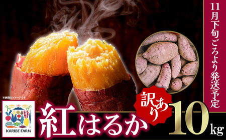 【先行予約】【訳あり】茨城県産 さつまいも 「紅はるか」 10kg【2024年11月下旬ごろ順次発送】【さつまいも 紅はるか 甘い ねっとり サツマイモ 焼き芋 芋 大容量 茨城県産 焼き芋 スイートポテト レシピ】