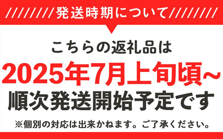 【先行予約】茨城県産黒小玉すいか 3kg（2個）【2025年7月上旬～7月下旬ごろ発送予定】【スイカ すいか 小玉すいか 小玉スイカ 黒玉スイカ 黒小玉すいか 果物 フルーツ スイカ割り】