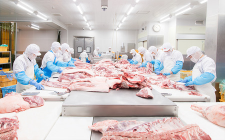 豚肉 【 3ヶ月連続お届け 】【3種ずつお届け】 国産豚肉 3種セットの定期便 合計4.5kg ( 500g × 3種 × 3回 ) 