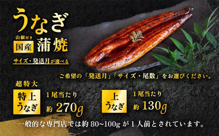 うなぎ 国産 蒲焼き 3パック 270g 1月発送 うなぎ