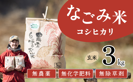 【3月発送】茨城県下妻市産 なごみ米 （ コシヒカリ ） 玄米 3kg 【 お米 コシヒカリ 米 無農薬 無化学肥料 無除草剤 玄米 ブランド米 茨城県産 】