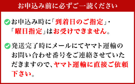 さつまいも 紅はるか 5kg 訳あり さつまいも