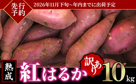 さつまいも 紅はるか 10kg 年内までに出荷 訳あり さつまいも
