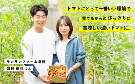 ミニトマト食べ比べ 1kg 1月以降順次発送【ミニトマト選手権金賞】