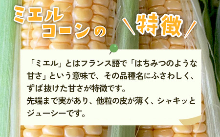 訳あり とうもろこし 先行予約 R8 下妻産 朝採り ミエルコーン 約6kg