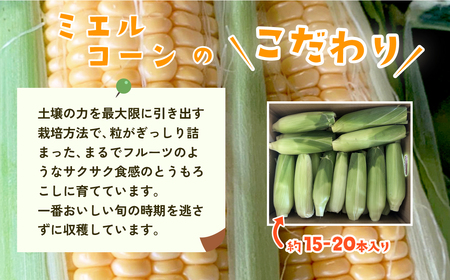訳あり とうもろこし 先行予約 R8 下妻産 朝採り ミエルコーン 約6kg