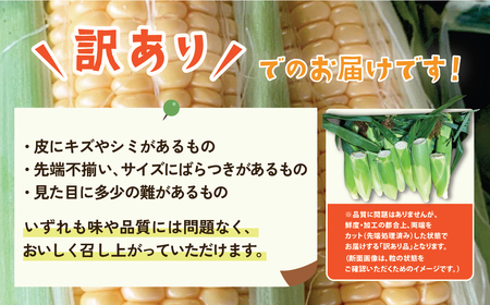 訳あり とうもろこし 先行予約 R8 下妻産 朝採り ミエルコーン 約6kg